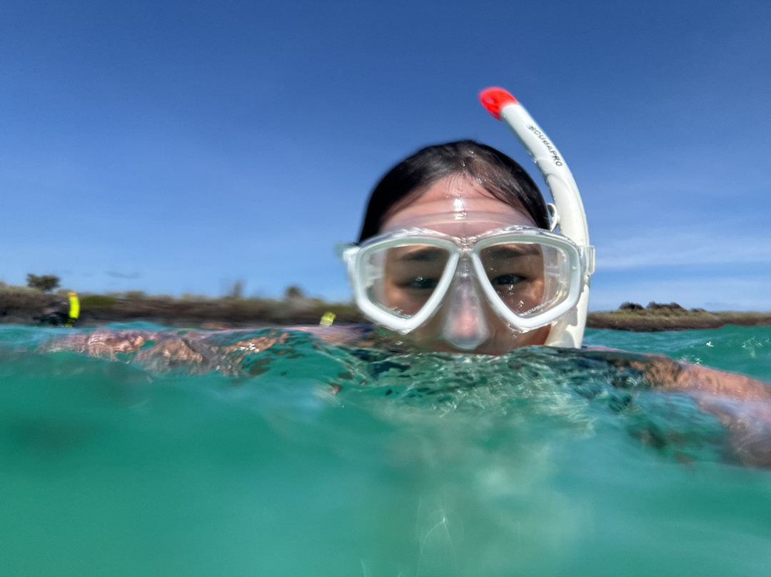 Go Galápagos Tours-Baltra必去景点