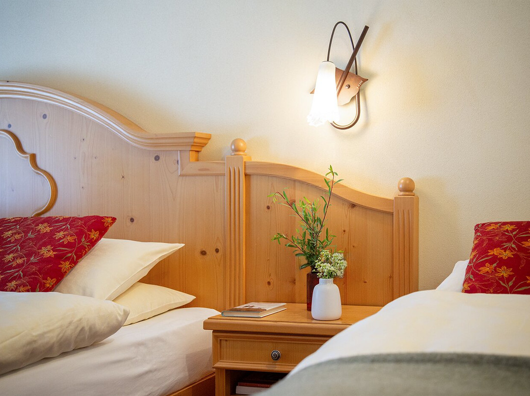 Hotel Funivia主图