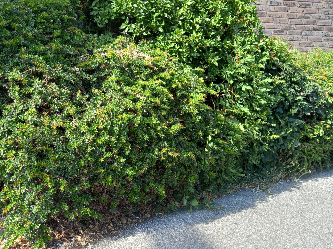 Amersham Underground Station-Amersham必去景点