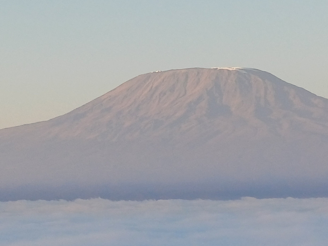 Kilimanjaro Balloon Safaris-安博塞利国家公园必去景点