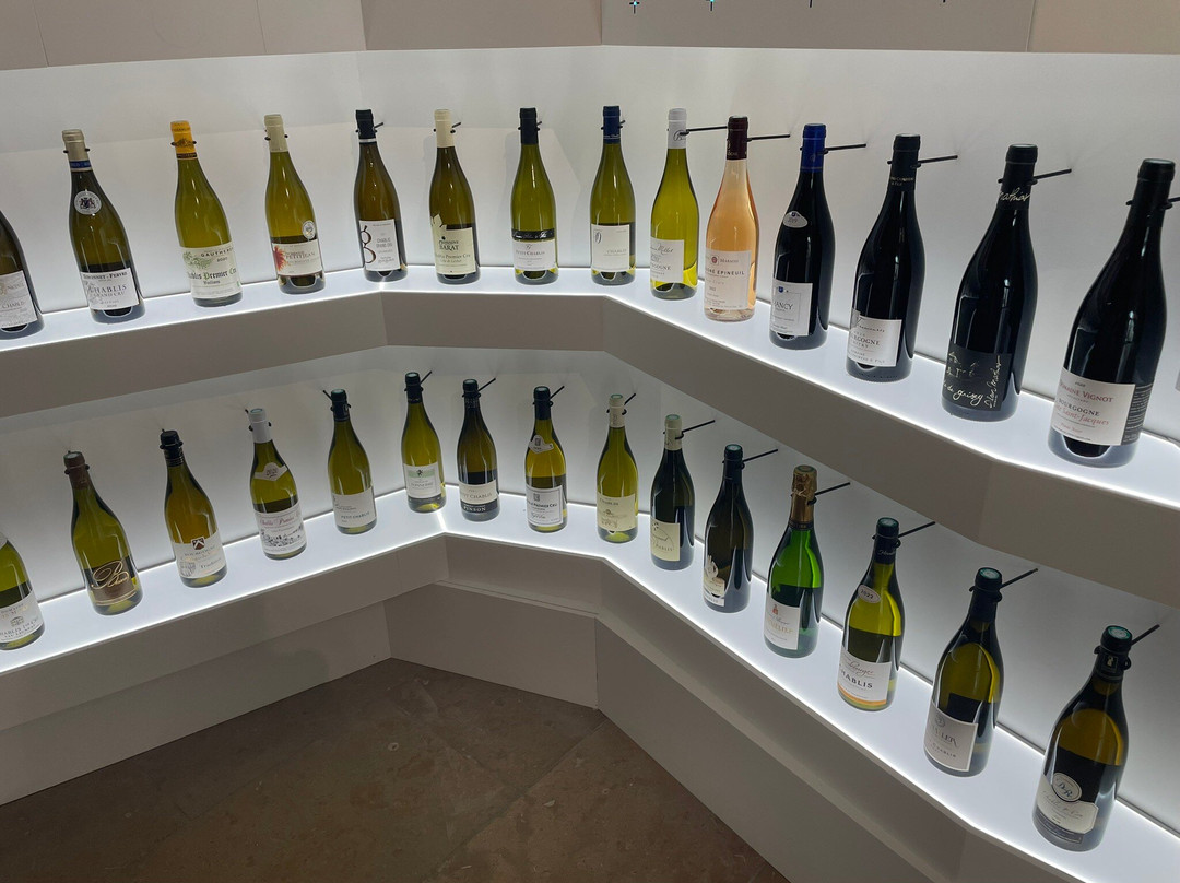 Cité des Climats et vins de Bourgogne-Chablis必去景点
