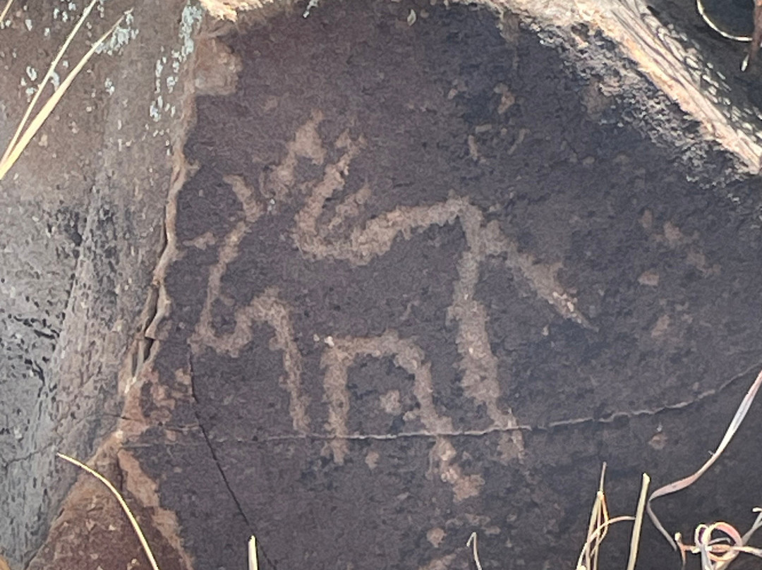 Wildebeest Kuil Rock Art Centre-金伯利必去景点