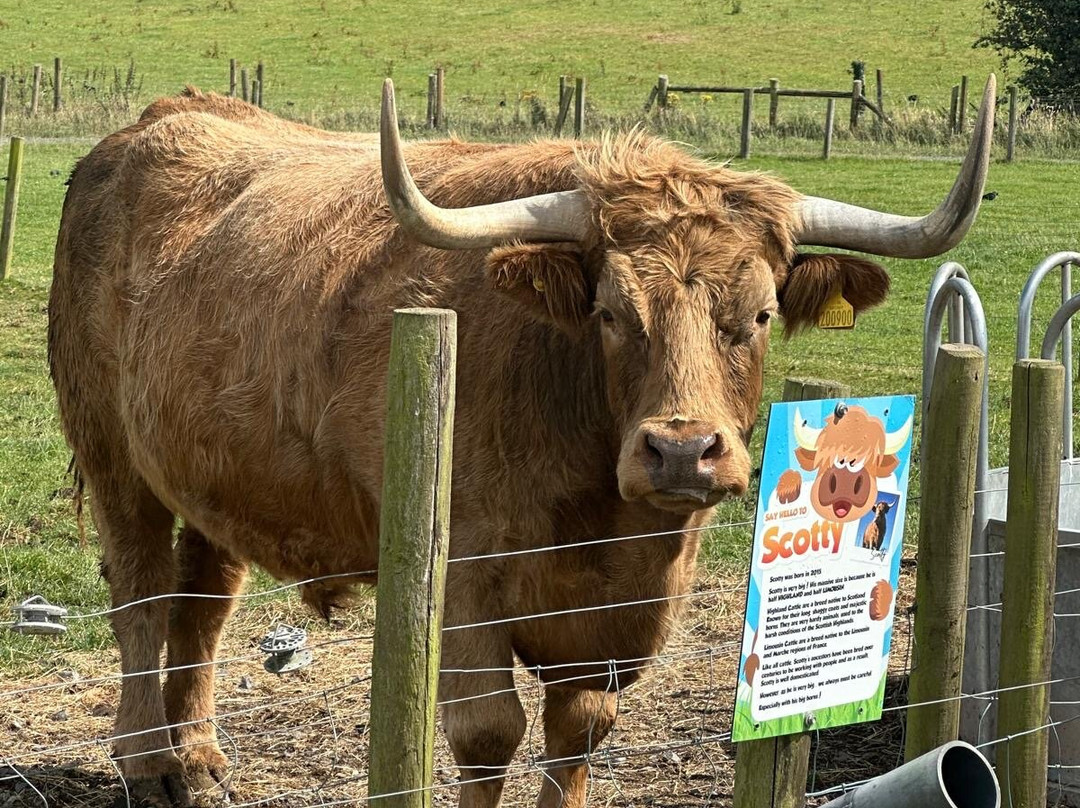 Streamvale Open Farm-贝尔法斯特必去景点