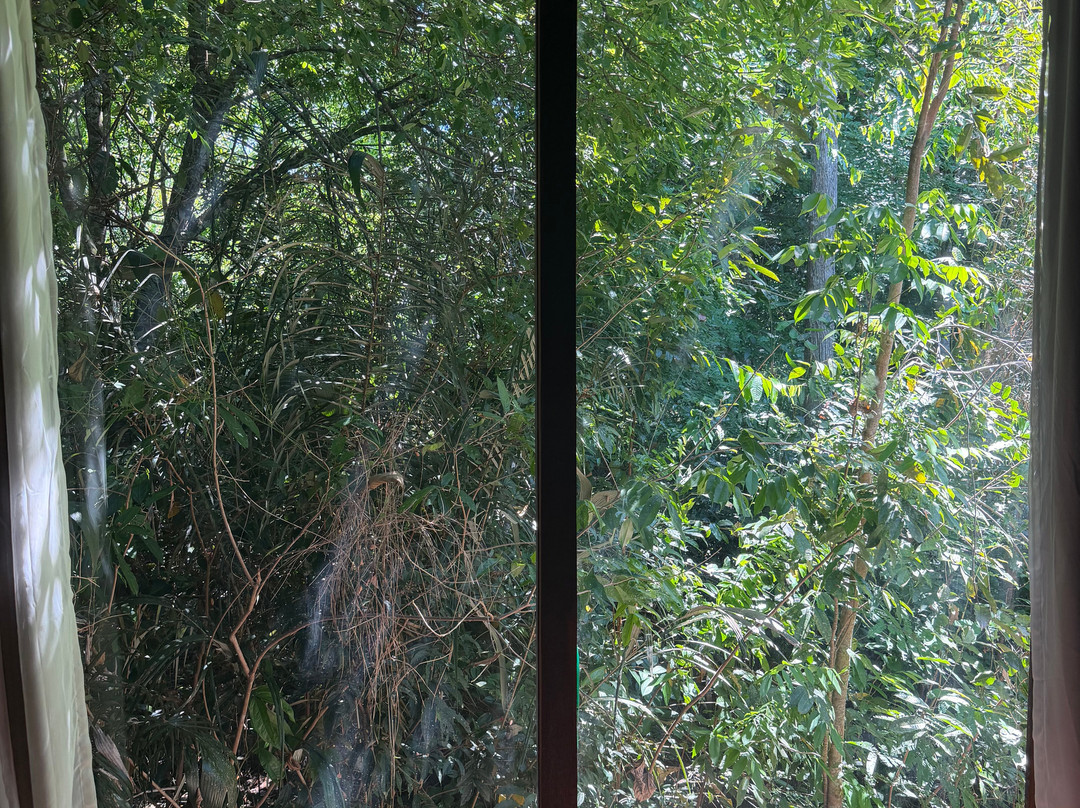 Caboclos House Eco-Lodge主图
