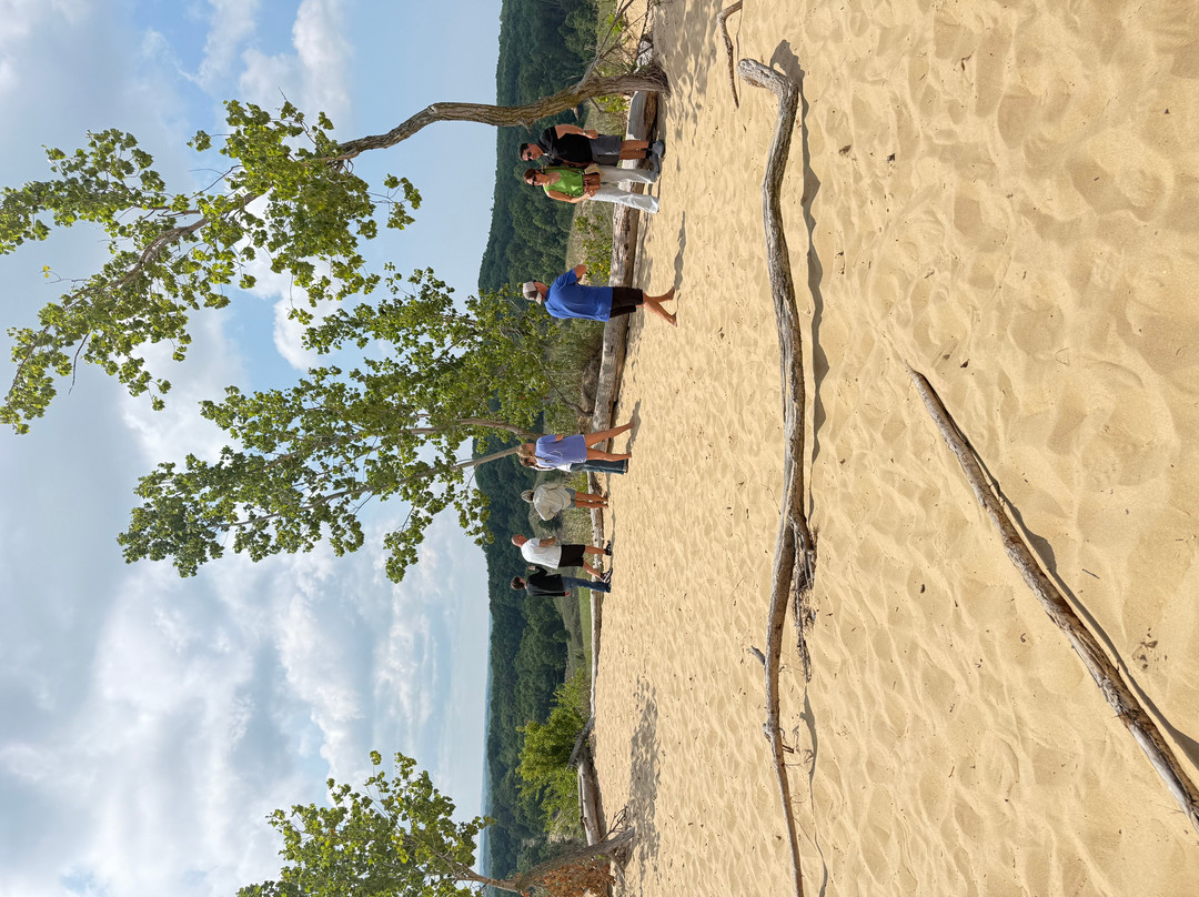 Saugatuck Dune Rides-索格塔克必去景点
