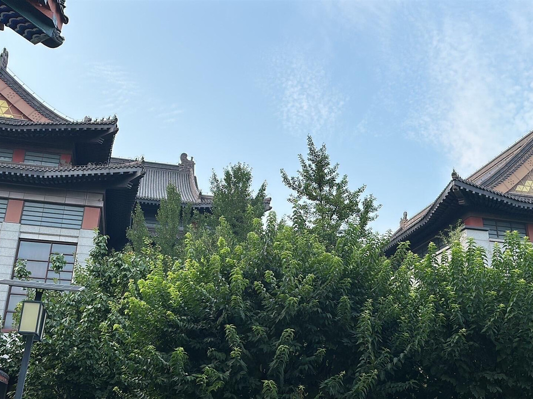 天津生态城希尔顿酒店主图