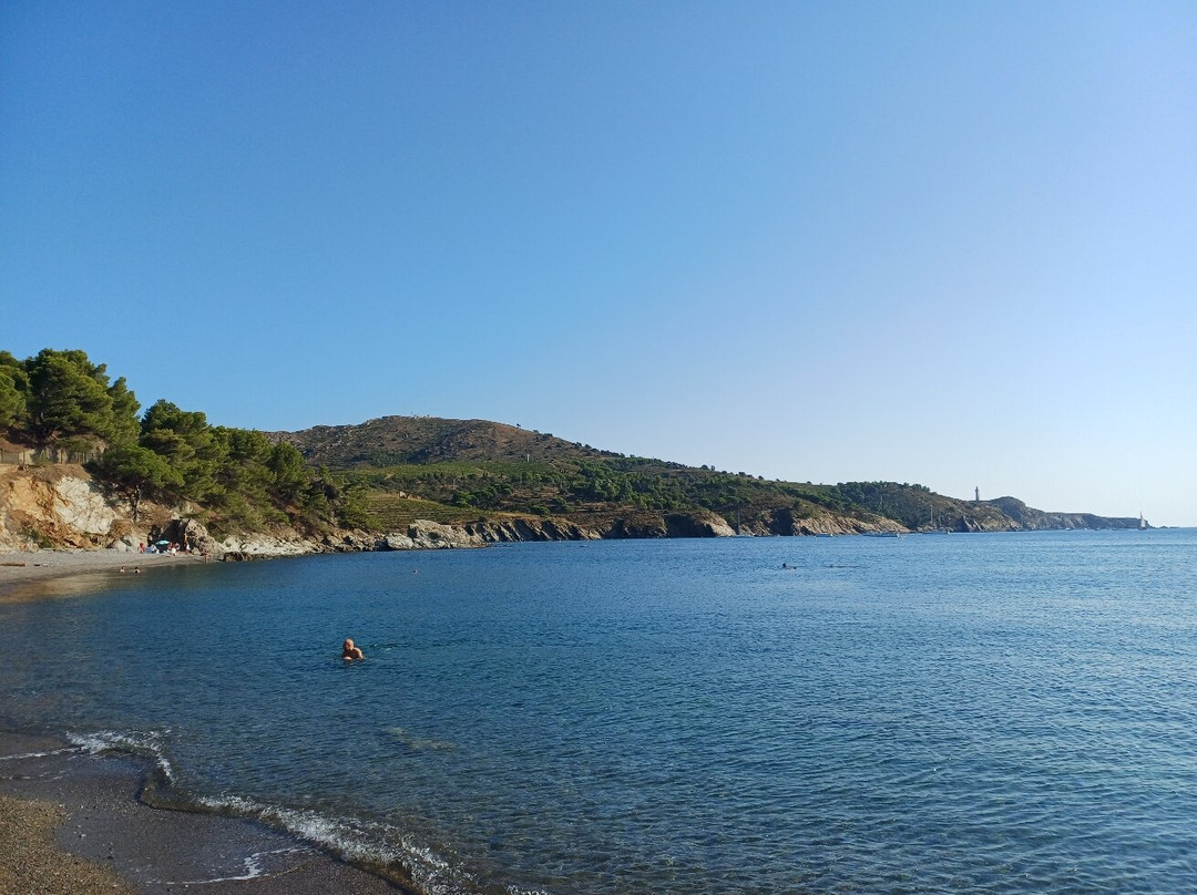 Plage de Paulilles-Port-Vendres必去景点