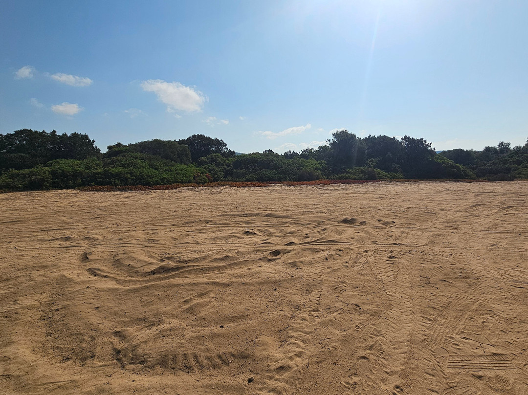 Plage De Tralicetu-Sartene必去景点