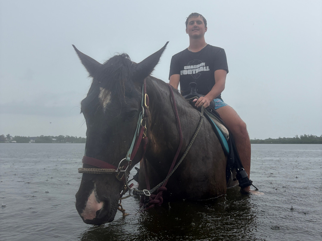 Florida Beach Horses-布雷登顿必去景点