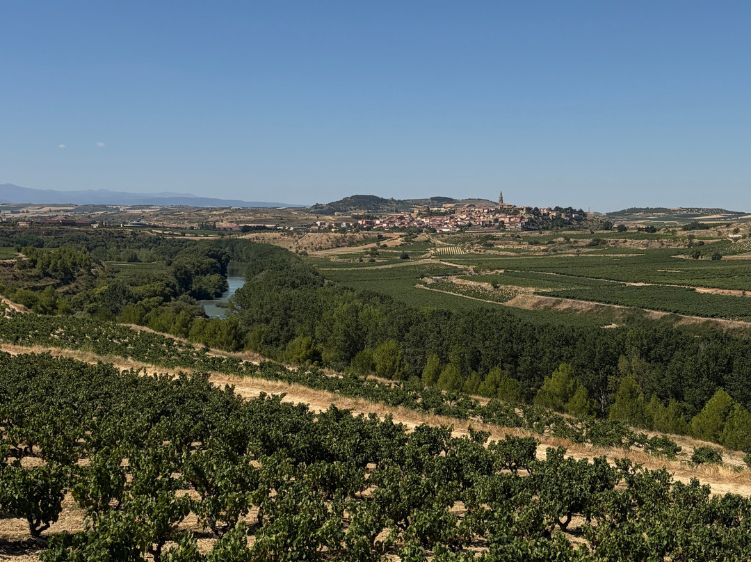 Bodega Hacienda Lopez de Haro-San Vicente de la Sonsierra必去景点