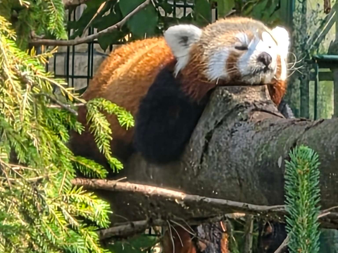 Oliwa Zoo-格但斯克必去景点