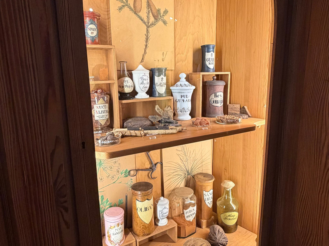 German Pharmacy Museum-海德尔堡必去景点