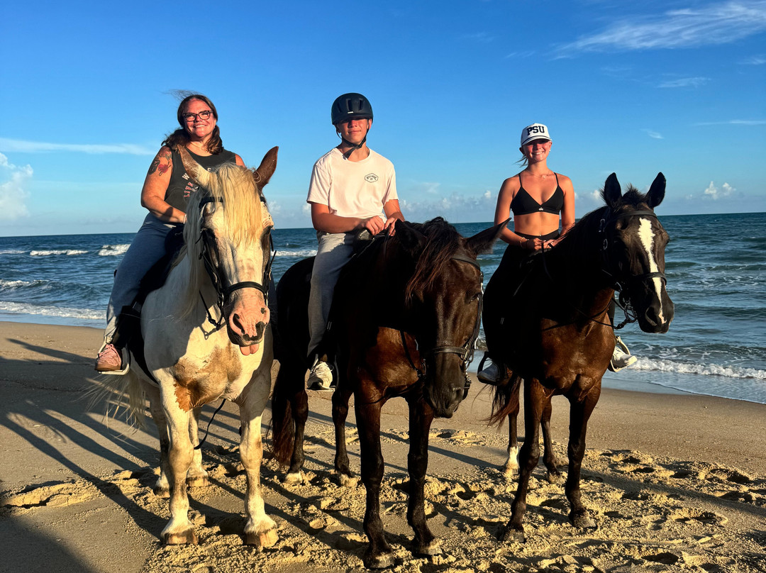 Equine Adventures-Frisco必去景点