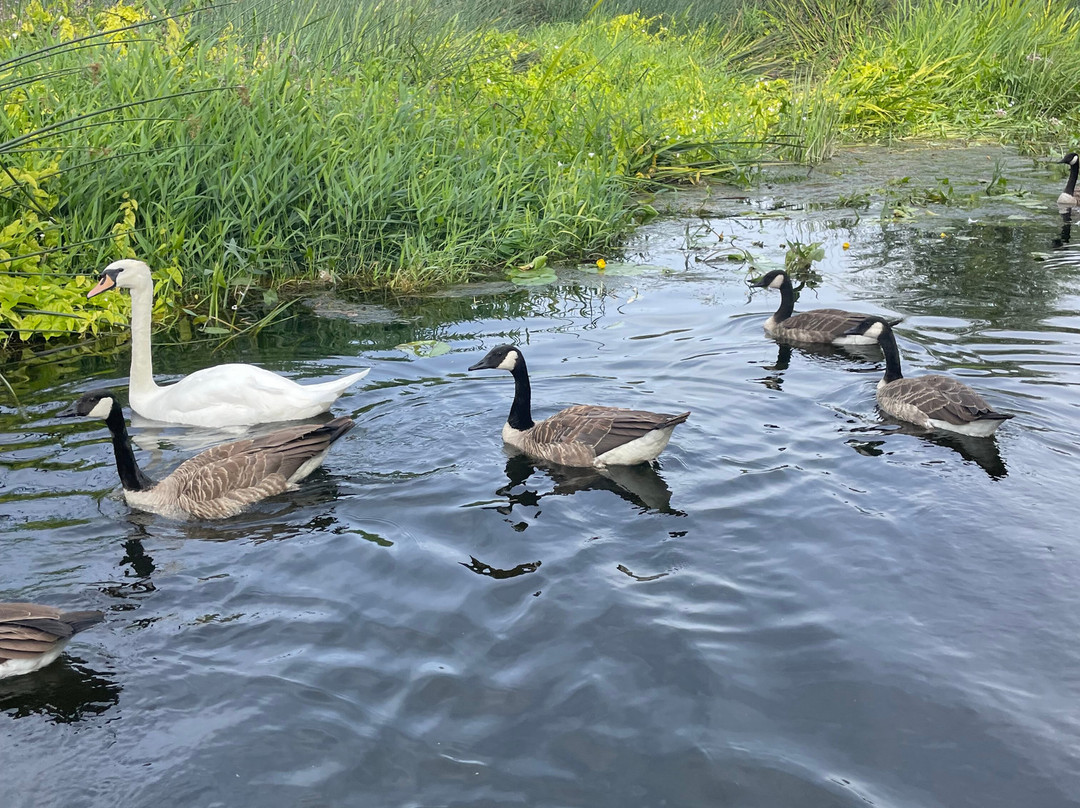 Bidford Boat Services-Bidford-on-Avon必去景点