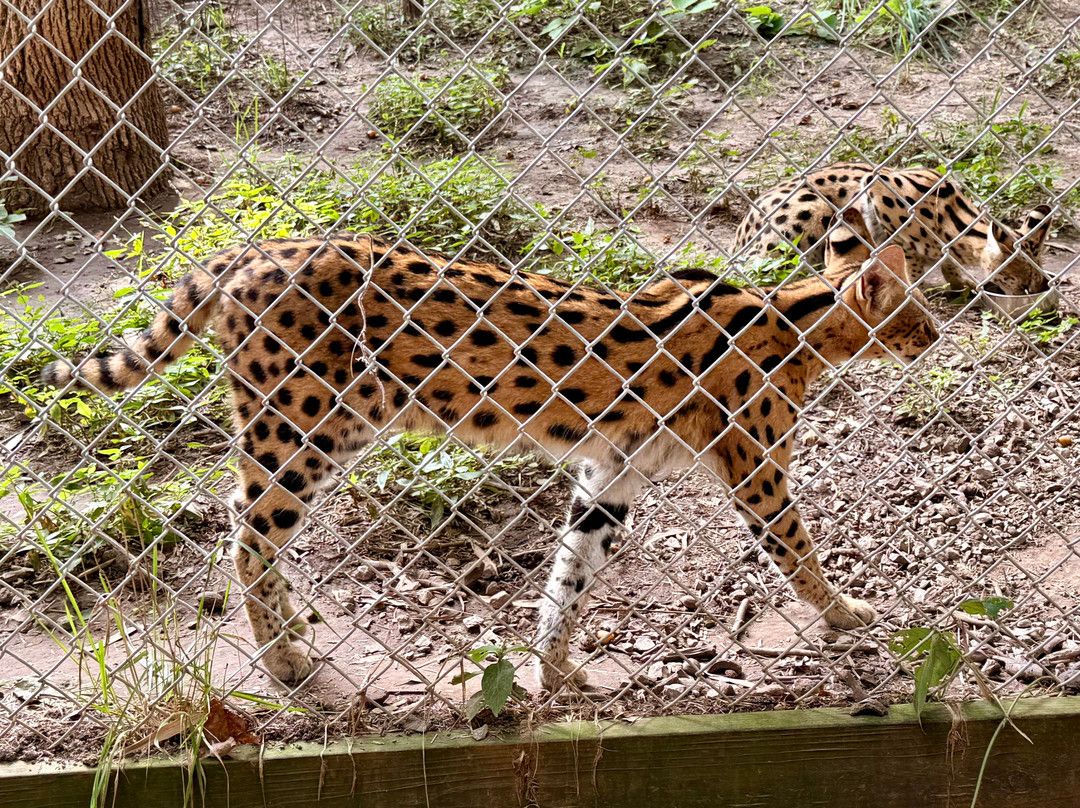 Kentucky Down Under Adventure Zoo-Horse Cave必去景点