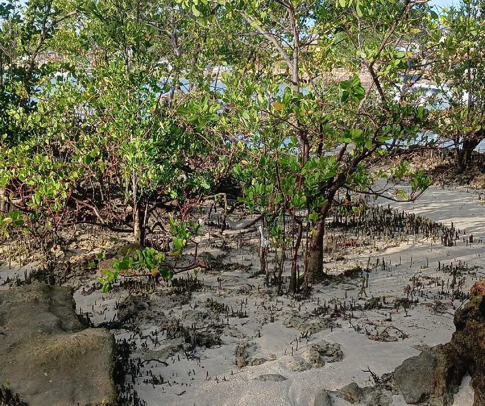 Terceira Praia-莫罗圣保罗必去景点