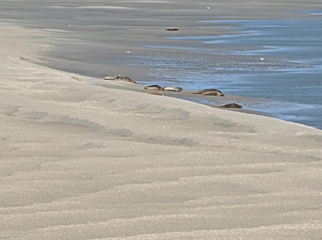 Passion Baie de Somme-Le Crotoy必去景点