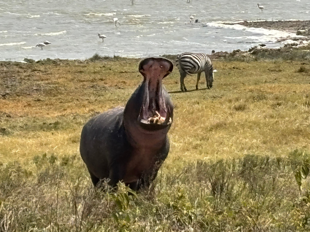 Tanzania-Experience-阿鲁沙必去景点