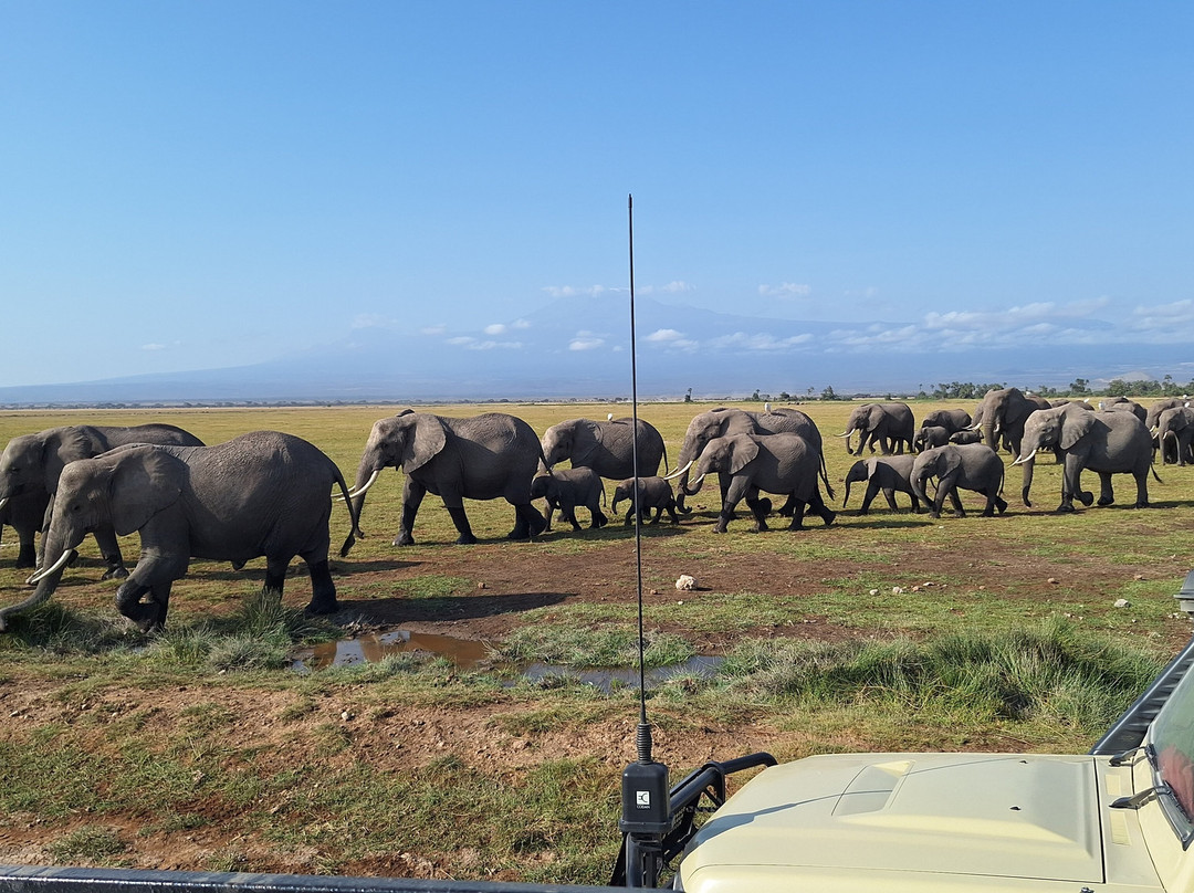 Shanjoy Tours and Safaris-Kikuyu必去景点