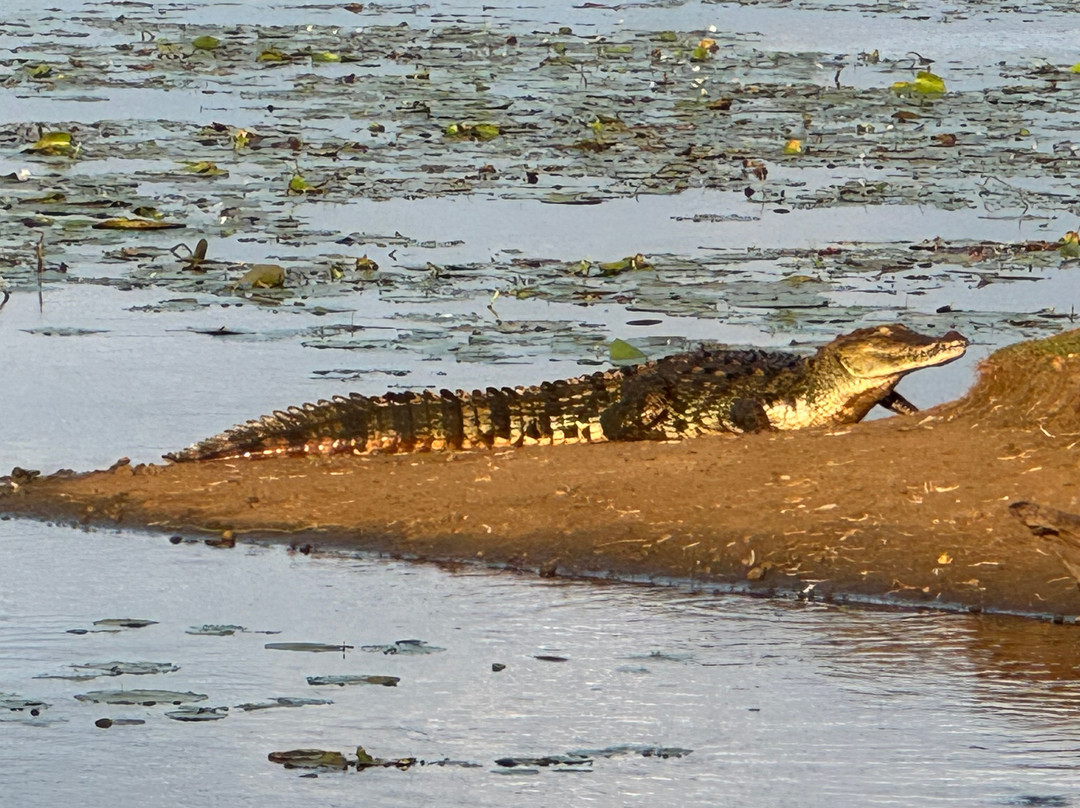 Indika Travel and Tourism Sri Lanka-Kadawata必去景点