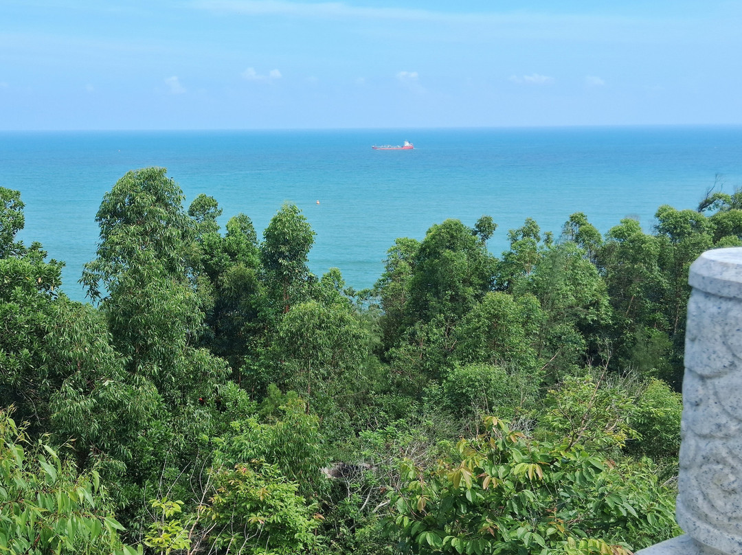 惠州海龟自然保护区-惠东县必去景点