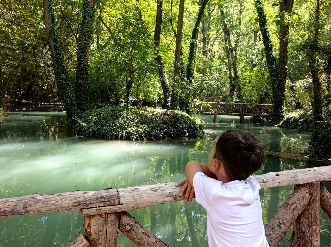 Monasterio De Piedra主图
