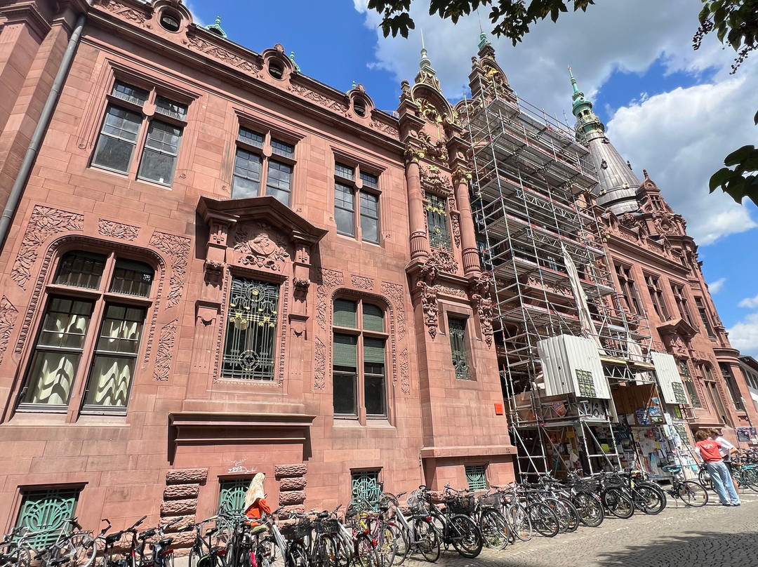 University Library (Universitatsbibliothek)-海德尔堡必去景点