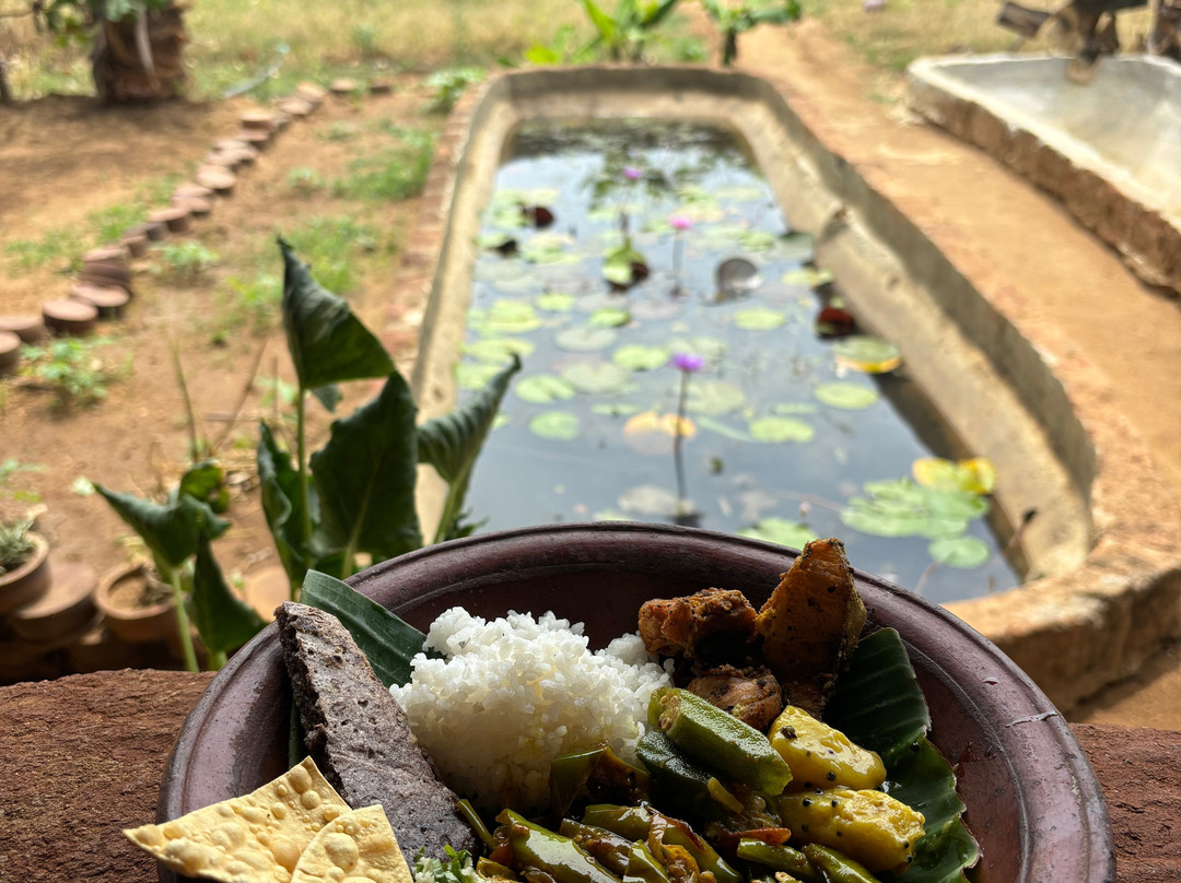 Sri Lanka Chauffeur-尼甘布必去景点