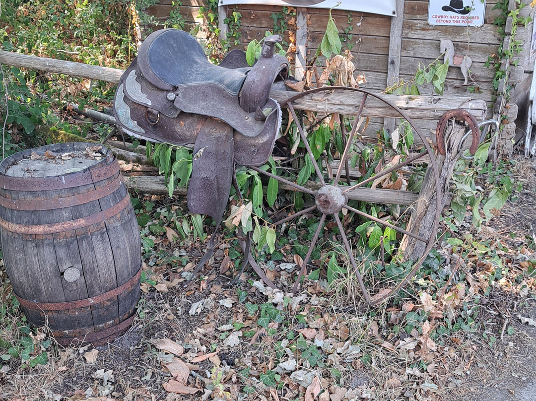 Tagada Poney