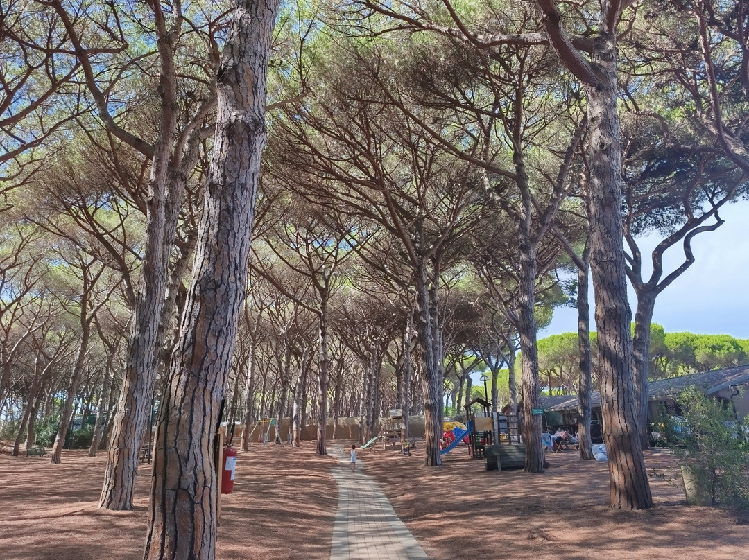 Golfo di Maremma Village主图
