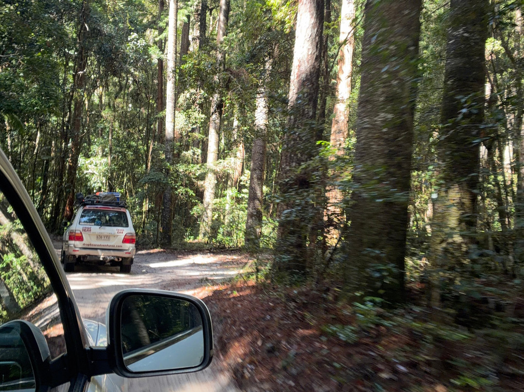Drop Bear K'gari Fraser Island Adventures-弗雷泽岛必去景点