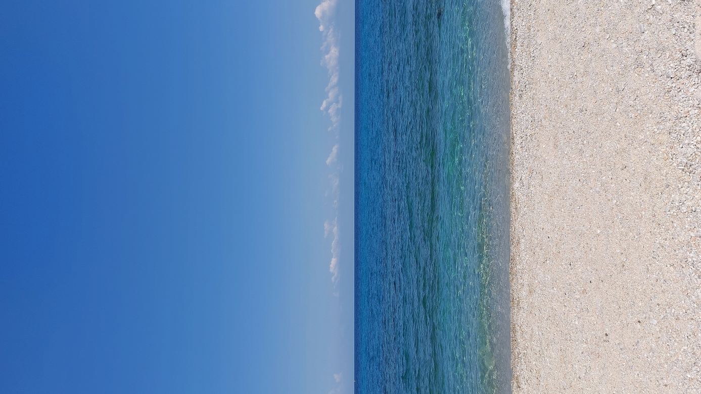 BV 卡拉菲欧里塔度假村-旅行者