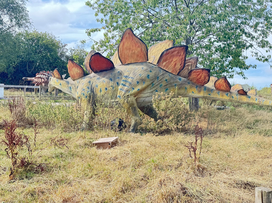 Avon Valley Adventure Park-Keynsham必去景点