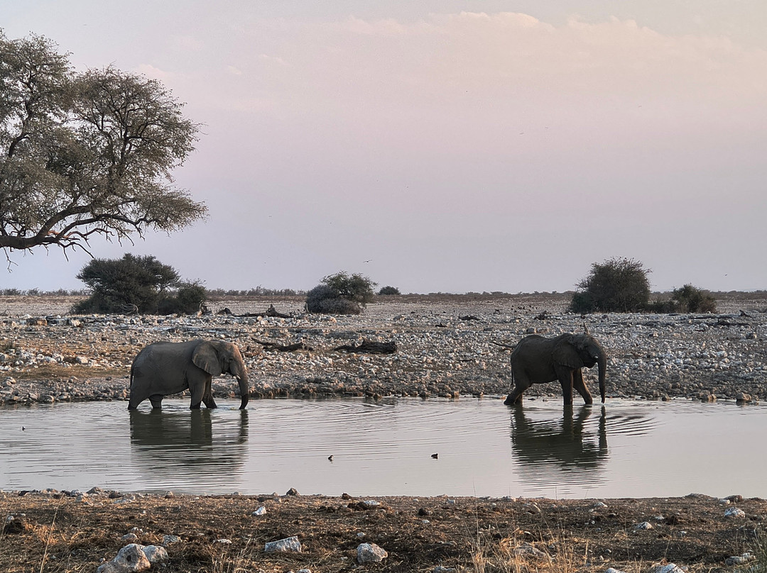 Etosha Pan-纳米比亚埃托沙国家公园必去景点