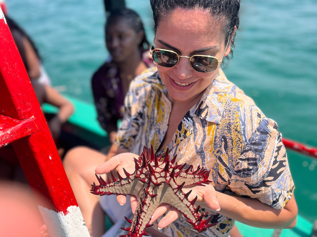 Safari Kenya Watamu-瓦塔木必去景点