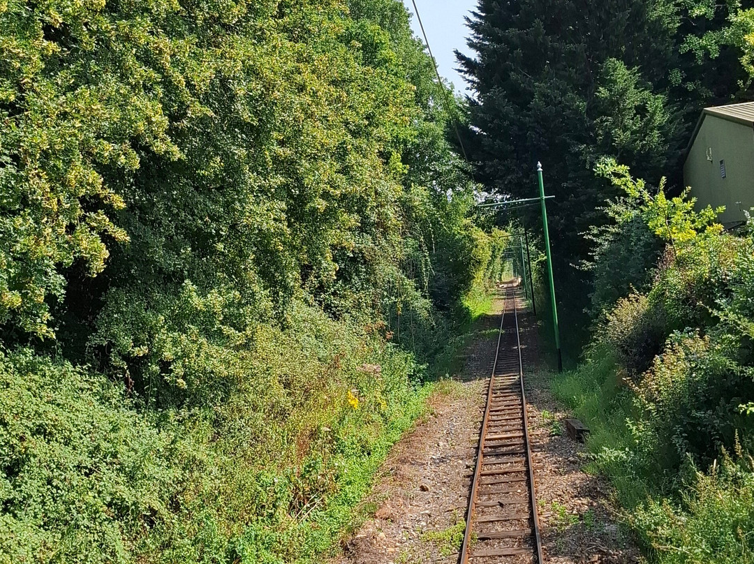 Colyton Tram Station