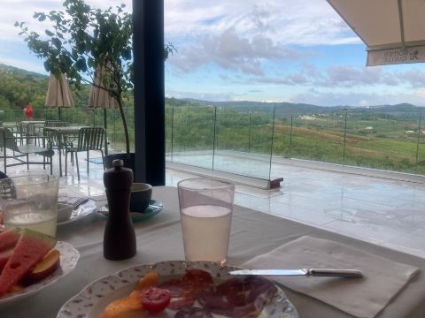 罗萨尼奇葡萄酒设计酒店-旅行者