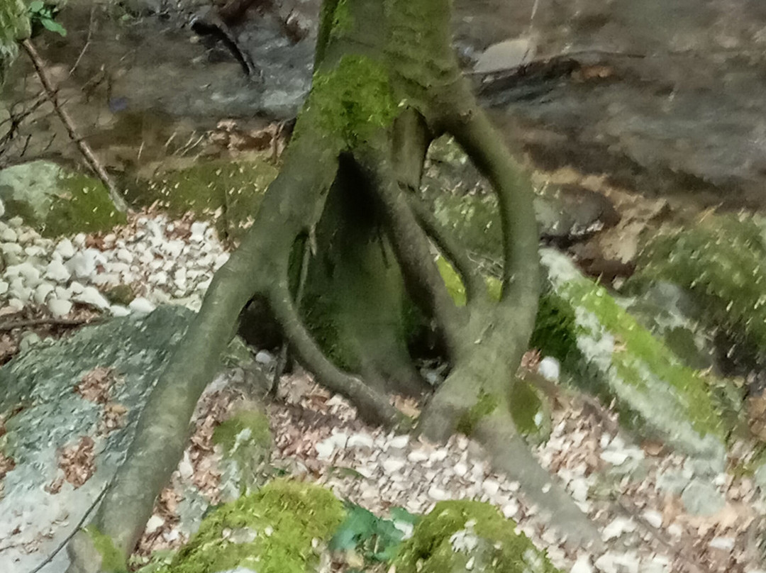Sentiero delle Scalelle-Caramanico Terme必去景点