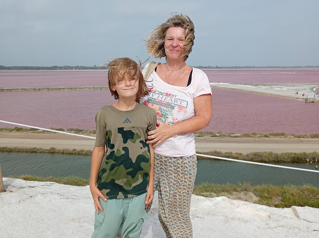 Salin d'Aigues-Mortes-艾格莫尔特必去景点