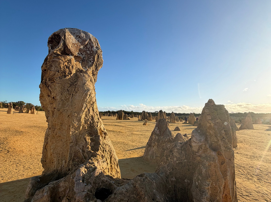 Nambung National Park-塞万提斯必去景点