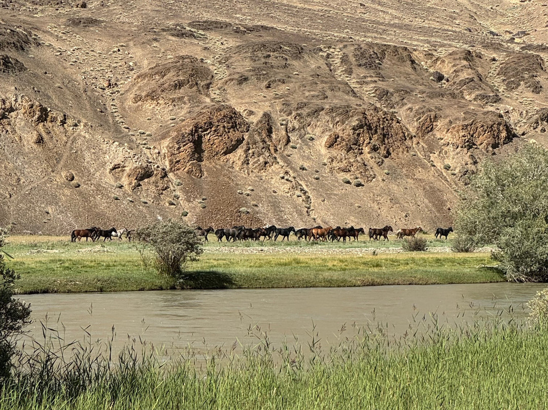 Pamir Guides-Murghab必去景点
