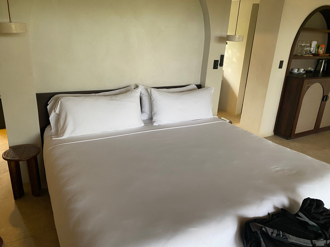 蒂基雨林别墅暨温泉旅馆主图