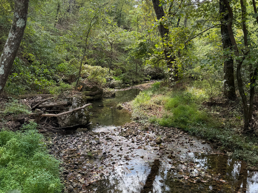 Natural Falls State Park-West Siloam Springs必去景点