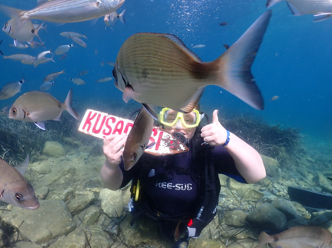 Kusadasi Diving Center-库萨达斯必去景点