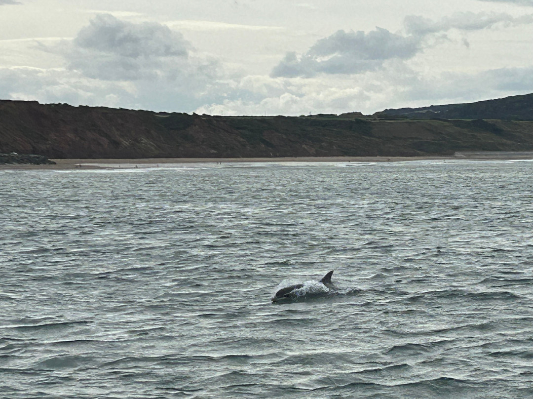 Whitby Coastal Cruises-惠特比必去景点