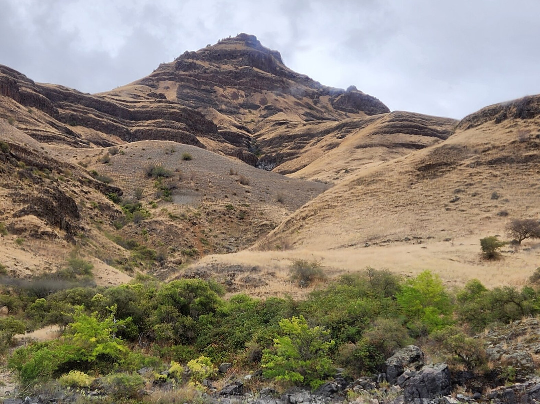 Snake River Adventures-刘易斯顿必去景点