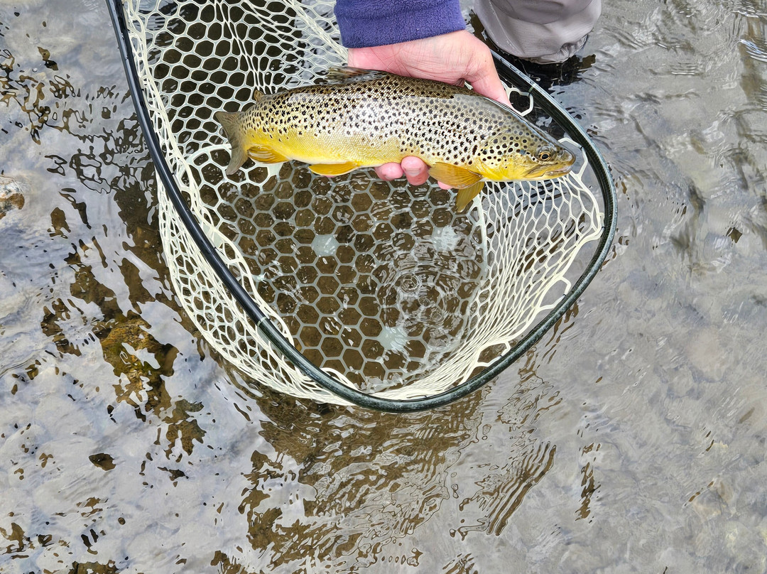 Arrick's Fly Shop, Inc.-西黄石镇必去景点