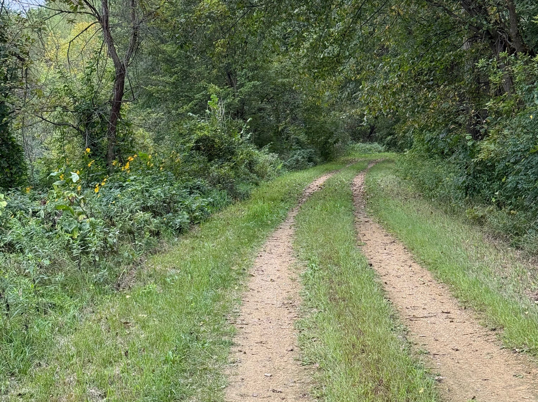 Red Cedar State Trail-Menomonie必去景点