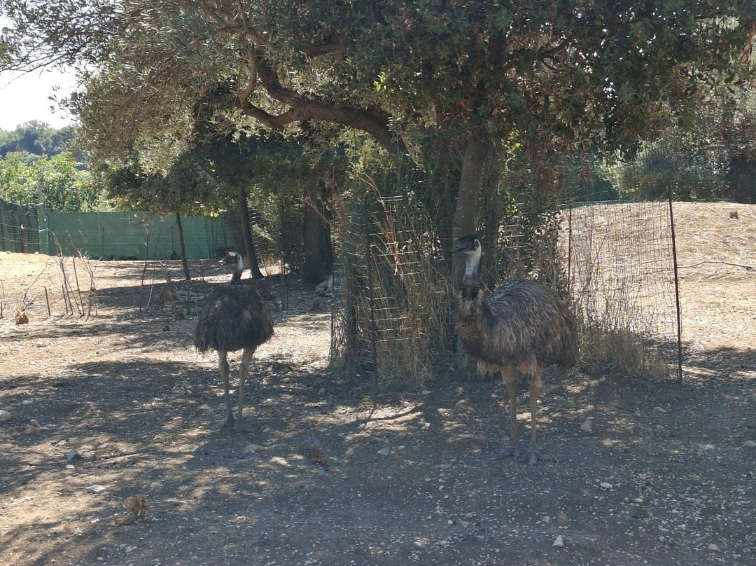 Zoo d'Abruzzo-Rocca San Giovanni必去景点
