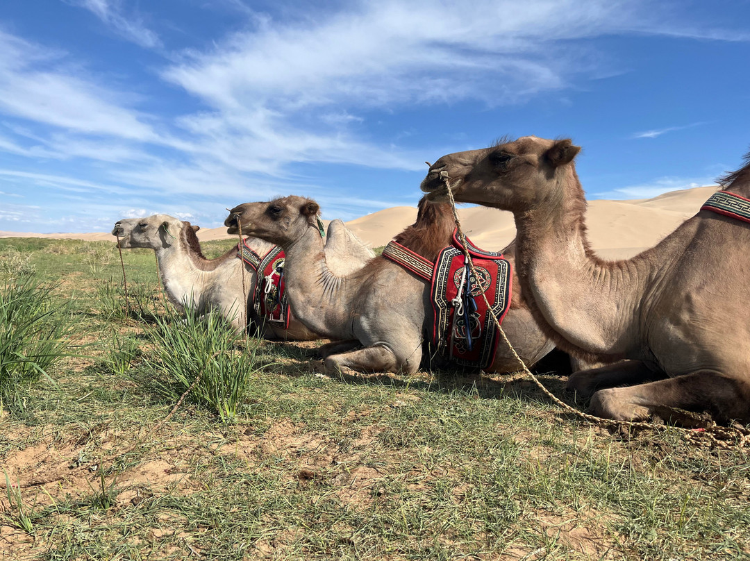 Discover Mongolia Travel-乌兰巴托必去景点